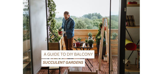 Creating Your Own Oasis: A Guide to DIY Balcony Succulent Gardens