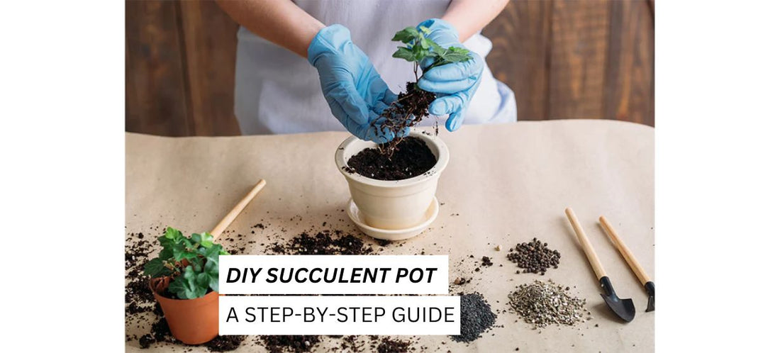 DIY Succulent Pot