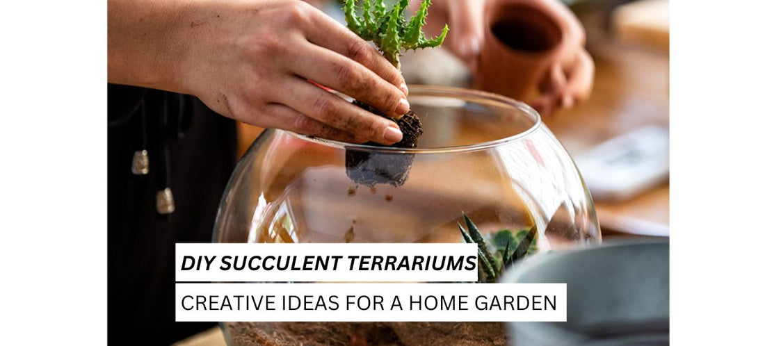 DIY Succulent Terrariums