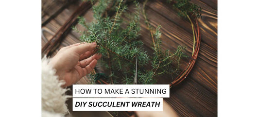 DIY Succulent Wreath 