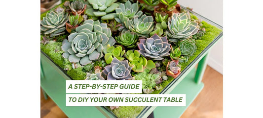 Embrace Green Living: A Step-by-Step Guide to DIY Your Own Succulent Table