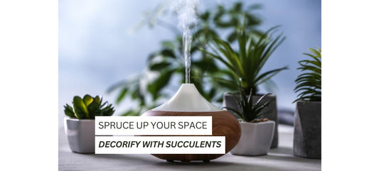 Spruce Up Your Space: Unique Ways to Decorify Succulent Home Decor