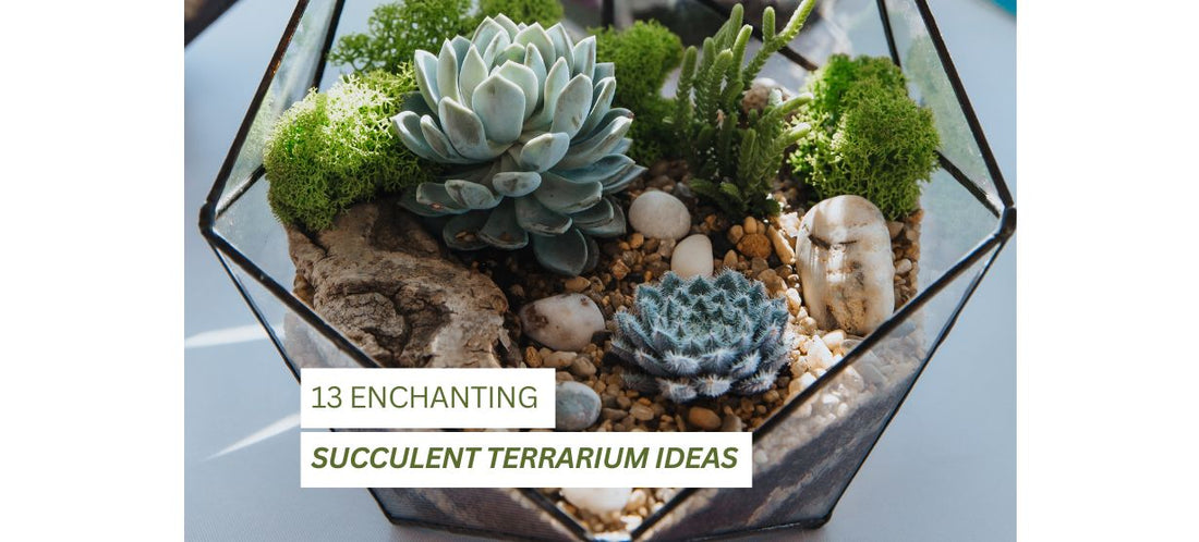 13 Enchanting Succulent Terrarium Ideas to Make Your Home Pop