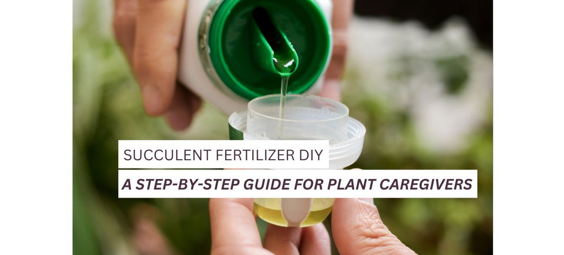 Succulent Fertilizer DIY
