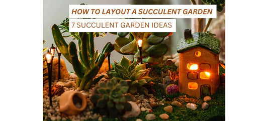 Succulent Garden ideas