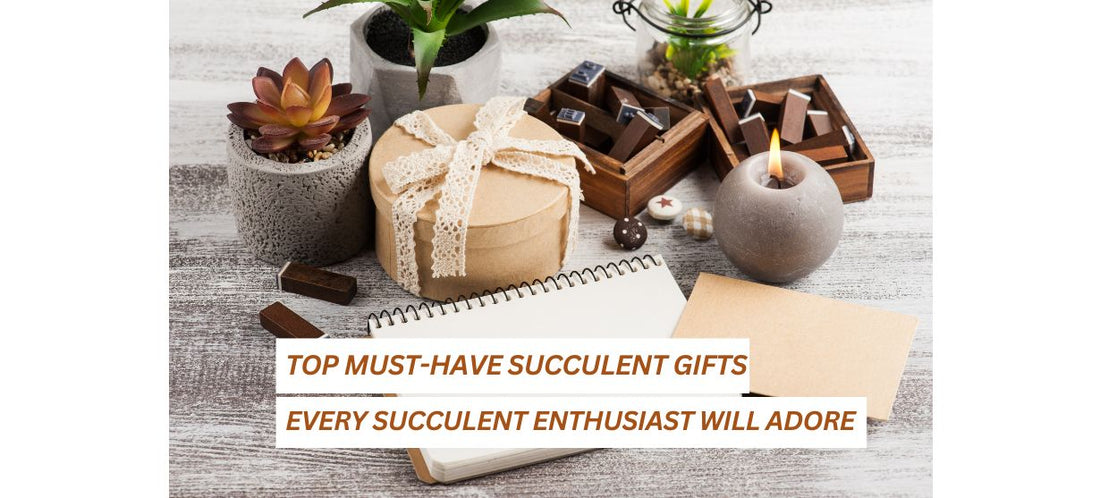 Top Must-Have Succulent Gifts Every Succulent Enthusiast Will Adore