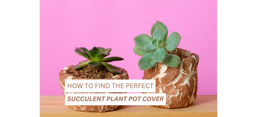 Succulent Plant Pot Cover 