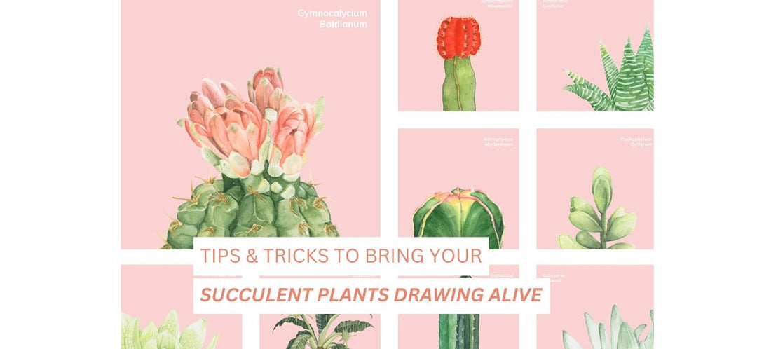 succulent plants drawing | cactus drawing