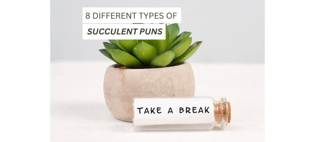 Succulent Puns