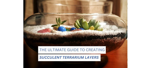 Succulent Terrarium Layers