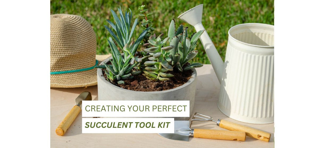 Succulent Tool Kit