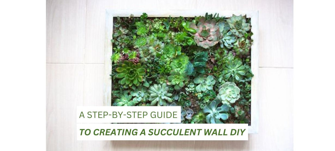 succulent wall diy