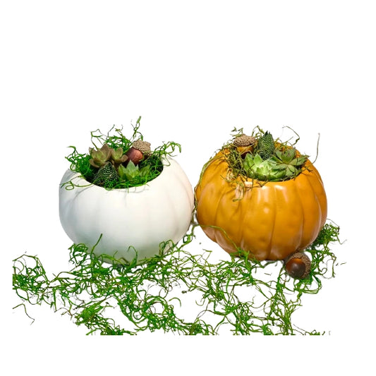 Ceramic Pumpkin Planter DIY Kit