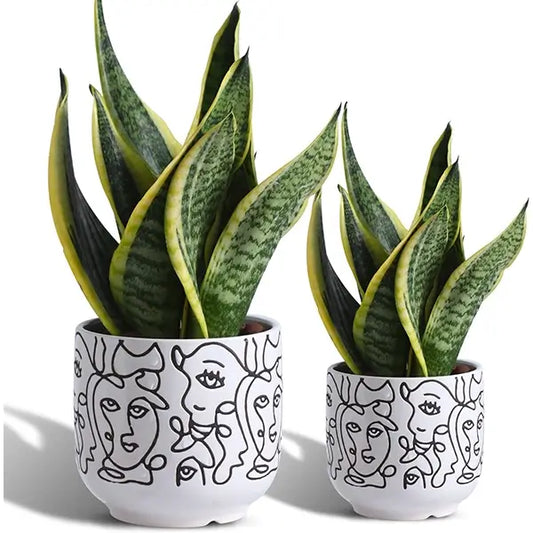 Handmade Ceramic Succulent Flower Pots