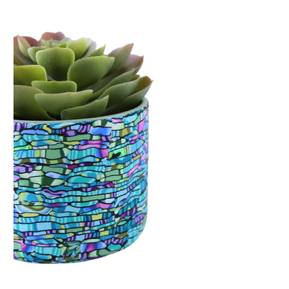 Handmade succulent pots plant