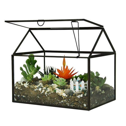 Large Glass Terrarium with Lid