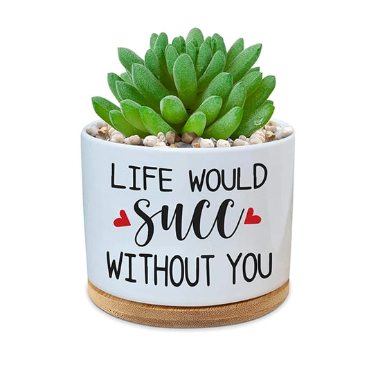 Life Would SUCC without You succulent Pot