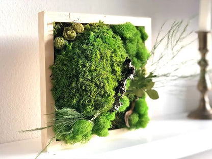 Moss Handmade Wall Décor Kit