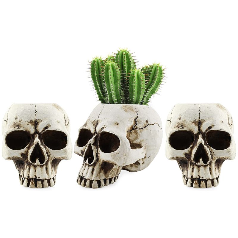 Skull Planter 