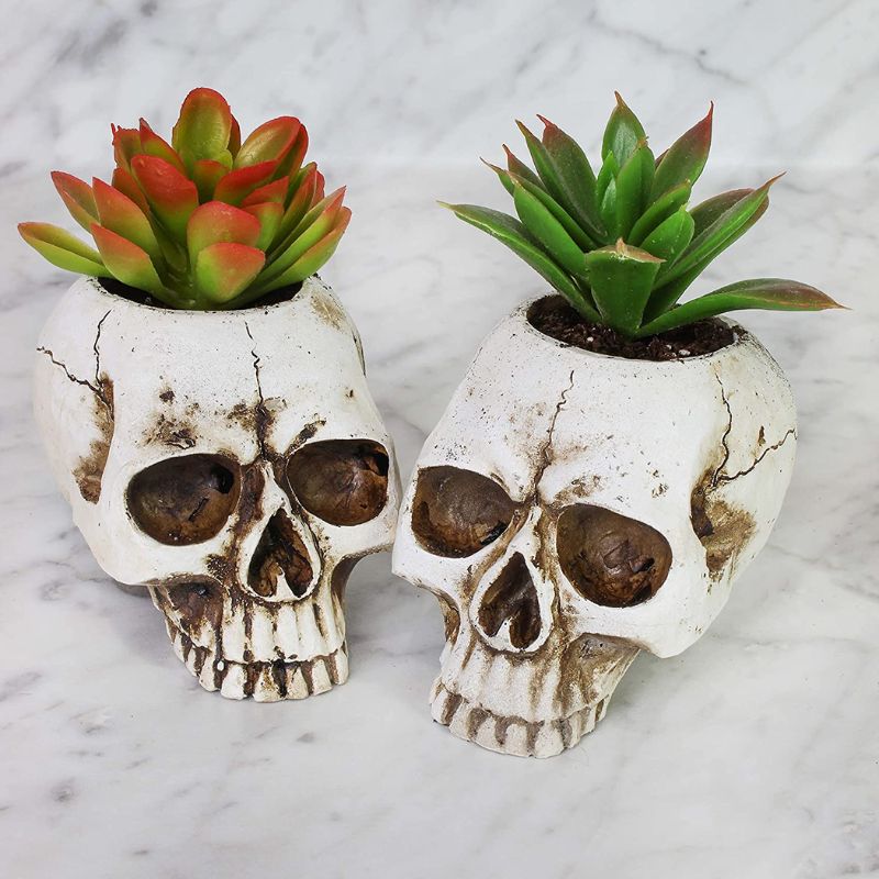 Skull Planter pot | halloween succulent pot 