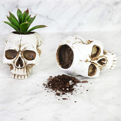 Skull Planter pot | halloween succulent pot 