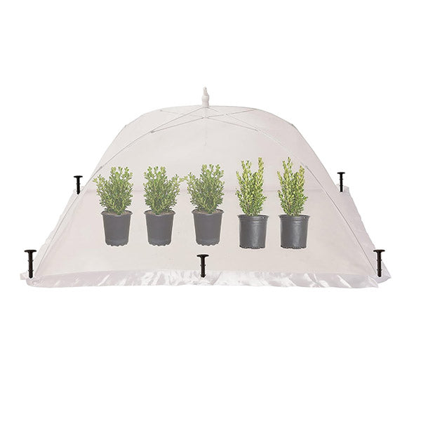 Succulent Plant Cover Protector 