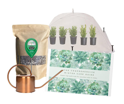 Succulent Winter Care Kit - Limited Edition