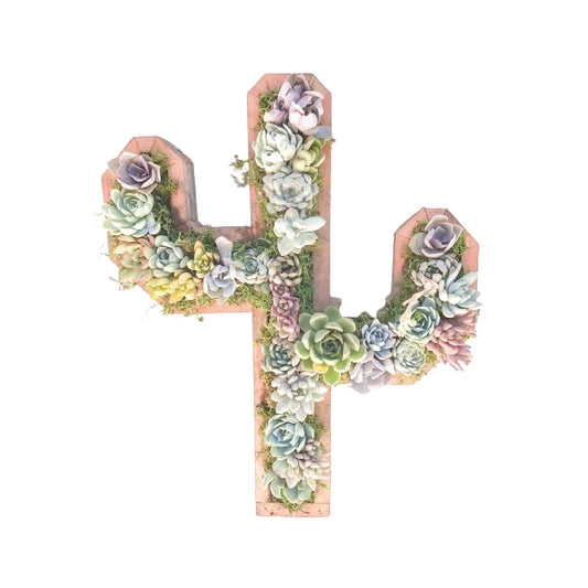 Wood Handmade Cactus Succulent Arrangement