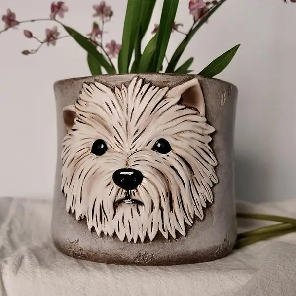 succulent planter with dog face