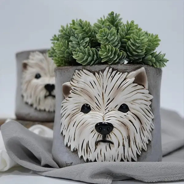 succulent planter with dog face