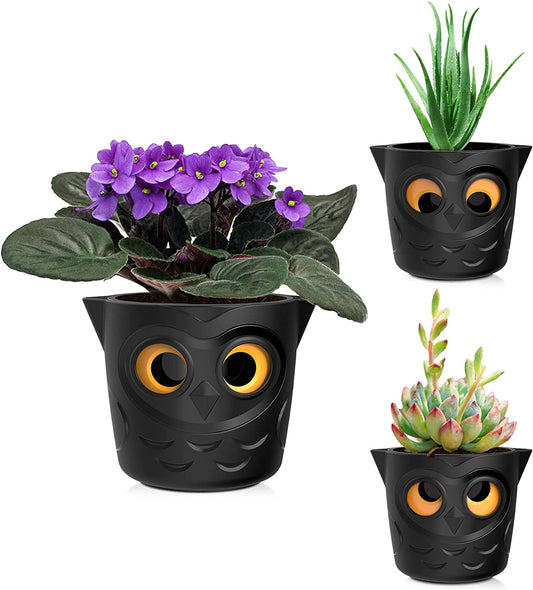 Succulent Owl planter 