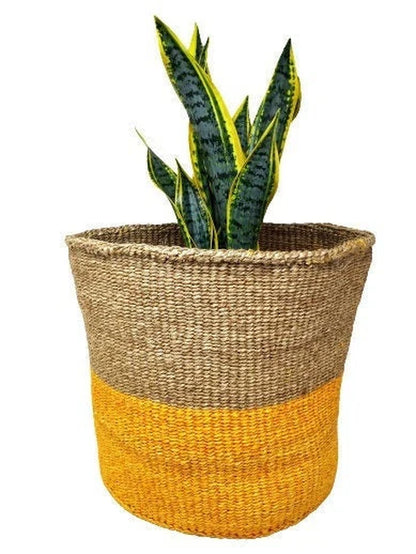 Handmade Succulent Woven Basket