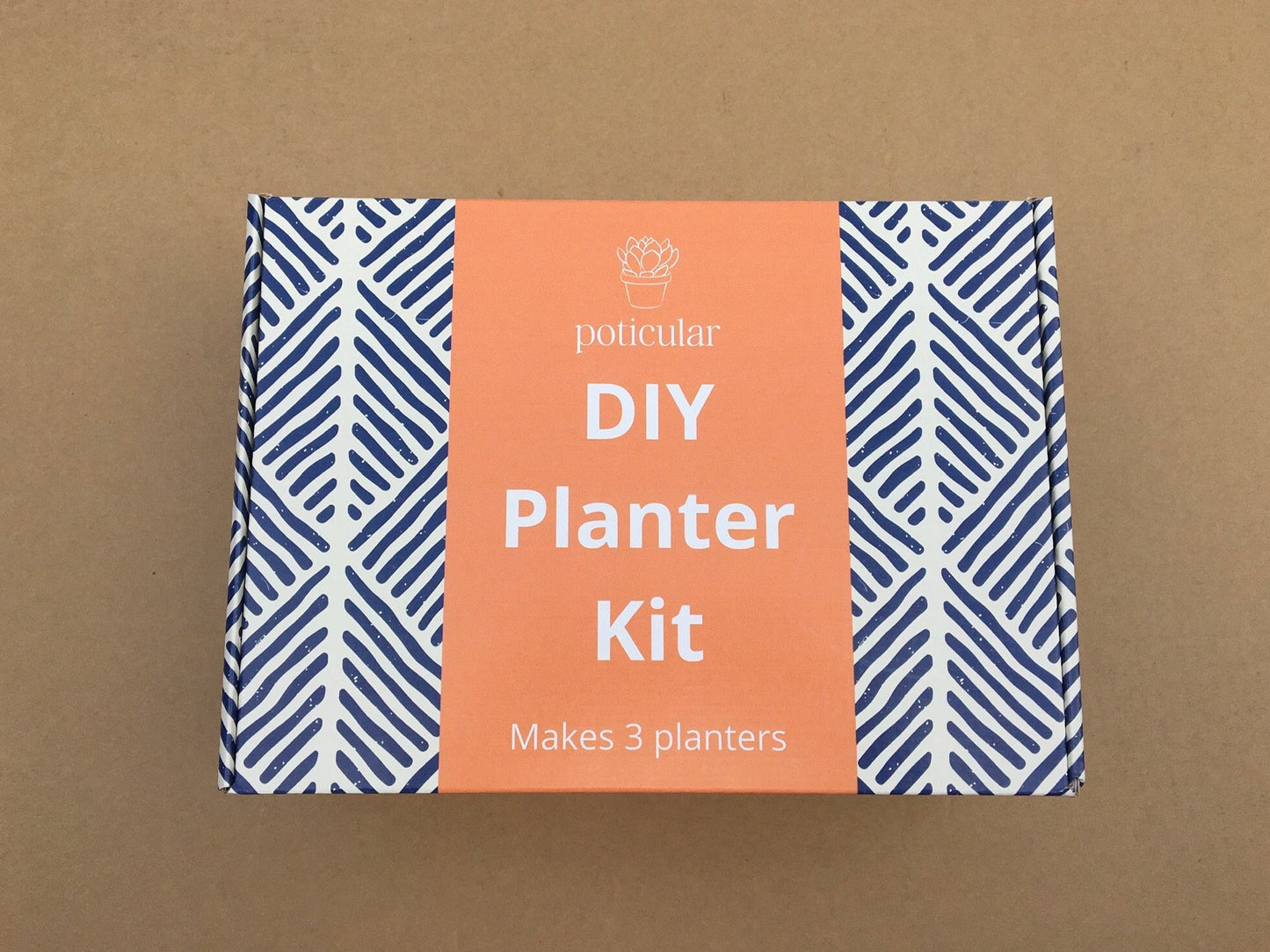 succulent planter kit | diy pottery mix