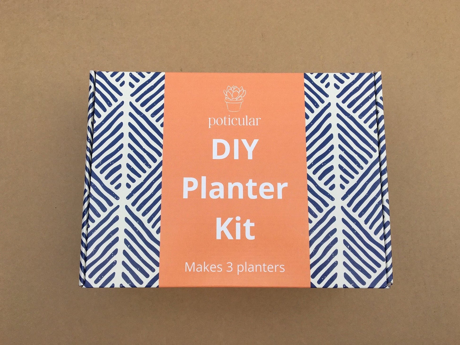 succulent planter kit | diy pottery mix