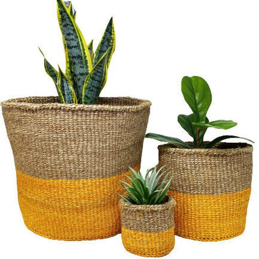 Handmade Succulent Woven Basket