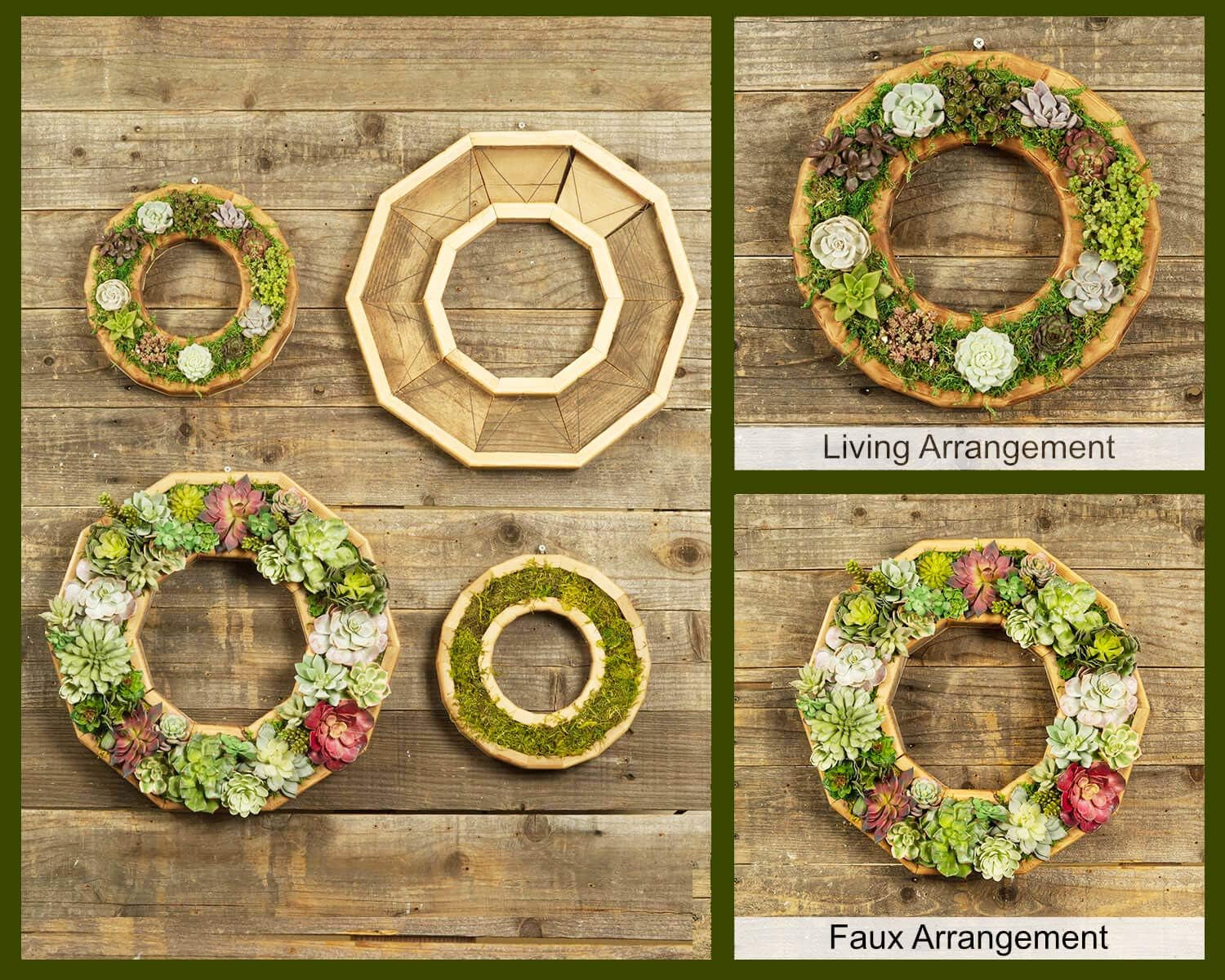 Diy Succulent Wreath Craft Kit