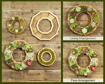 Diy Succulent Wreath Craft Kit