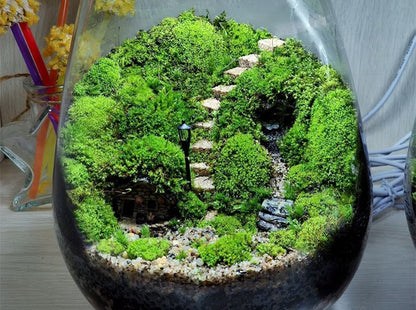 10Pcs Fairy Garden Terrarium Kits Accessories