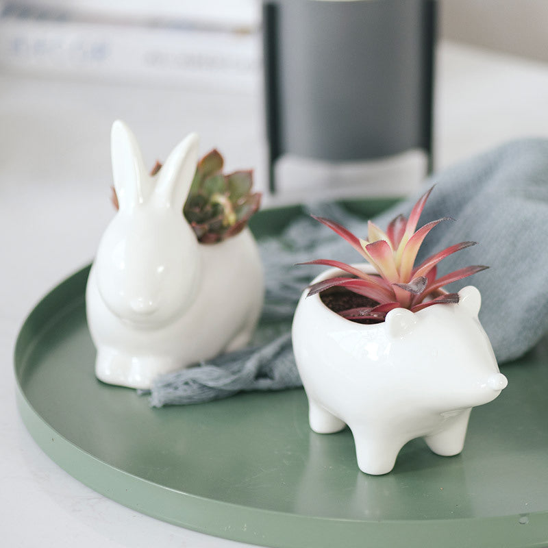 ceramic modern succulent pots 