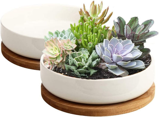 White Planter Pot | succulent centerpiece