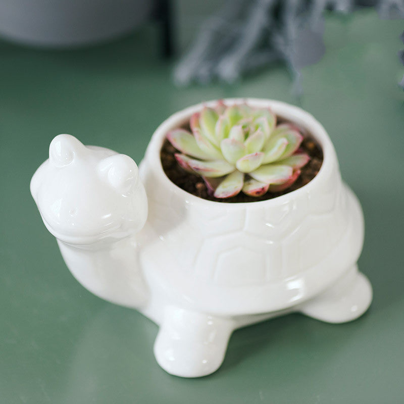 ceramic modern succulent pots 