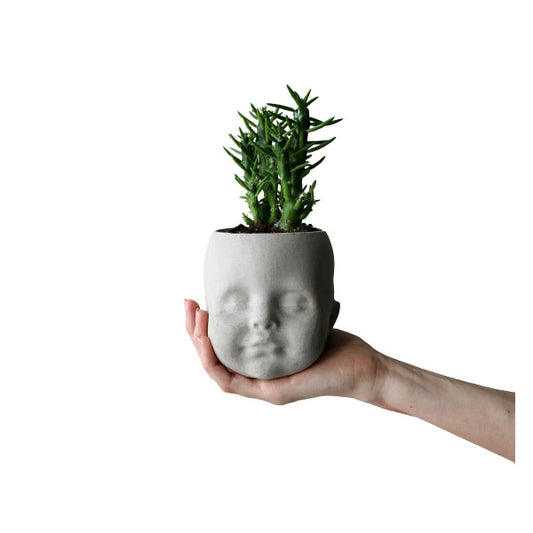 Baby Head Concrete Succulent Pots