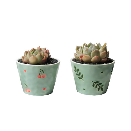 Green Succulent Pots With Drainage