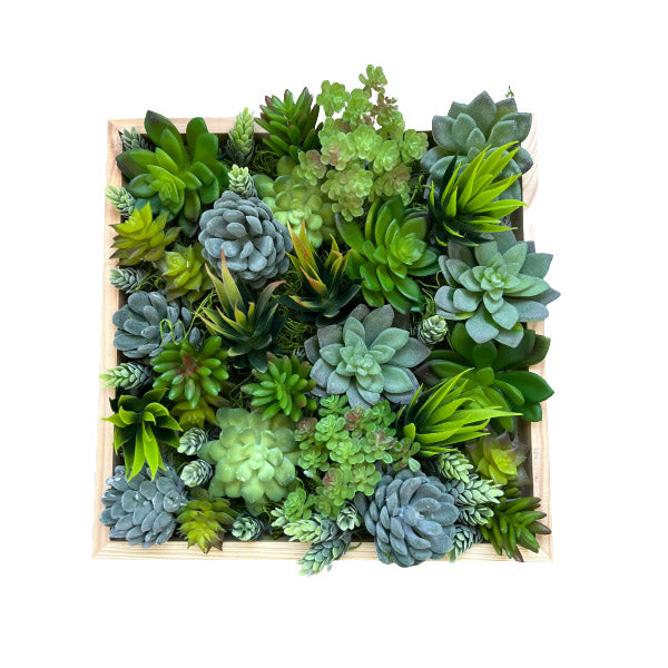 Faux Succulent Wall Art