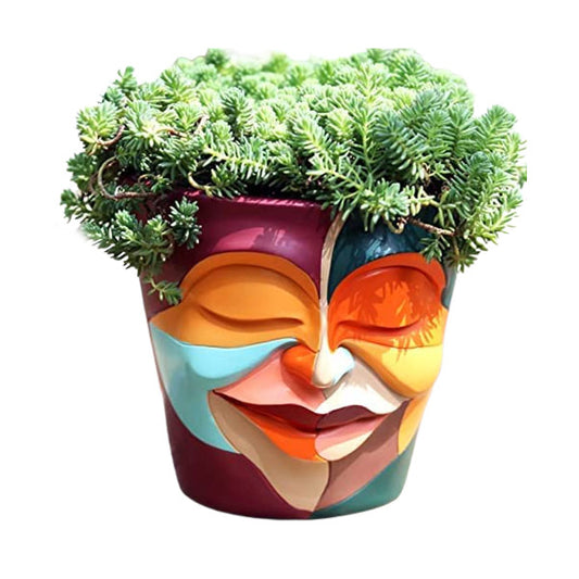 Fun Succulent Pots Head Planter