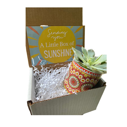 Succulent Planter Box