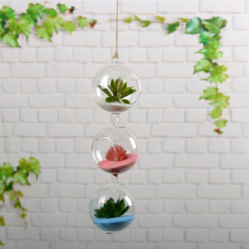 Succulent Glass Terrarium | Perfect for your home decor