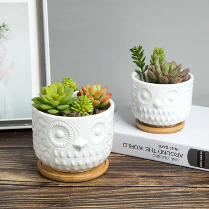 2 succulent pots Set |  Ceramic Pot Planter Set