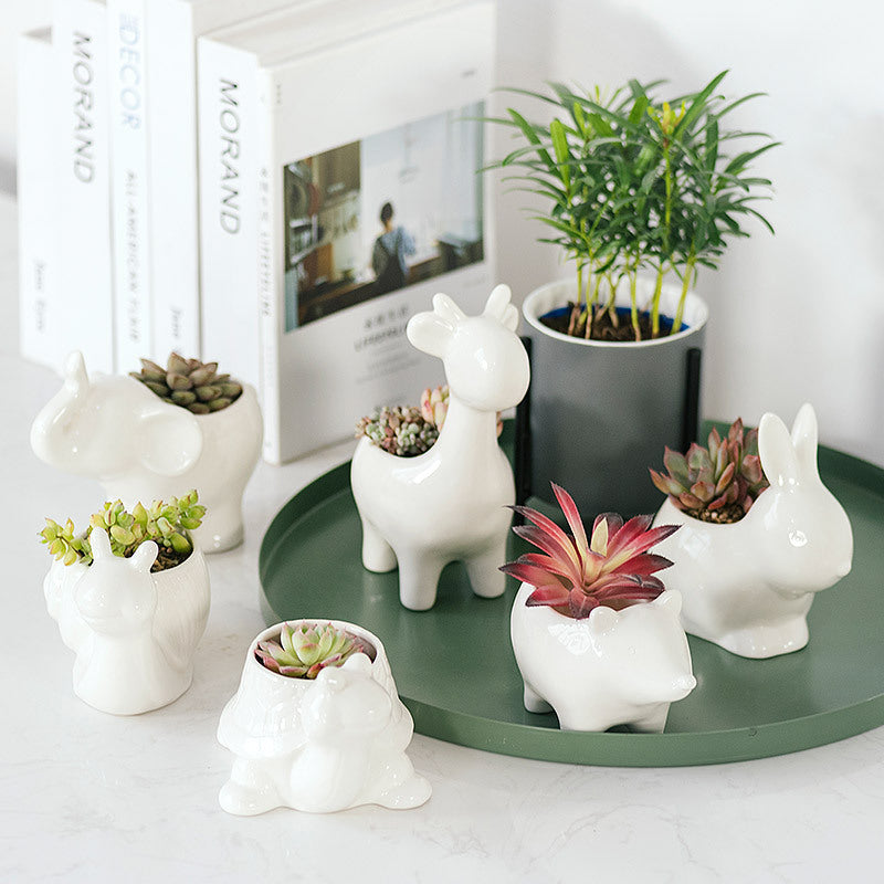 ceramic modern succulent pots 