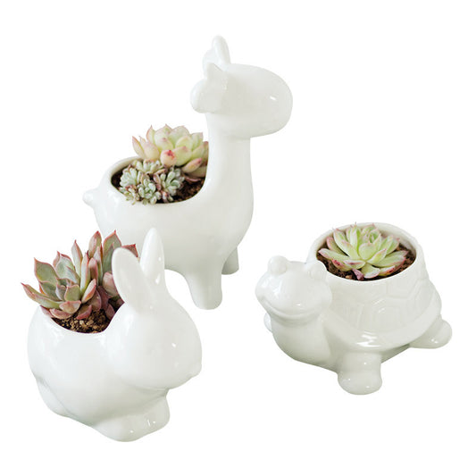 ceramic modern succulent pots 